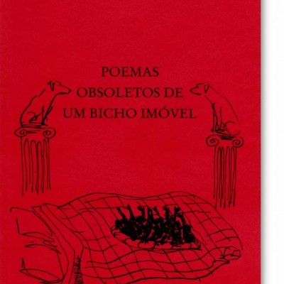 Capa de livro vermelha com título e ilustrações a preto