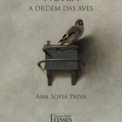 Núria, a ordem das aves