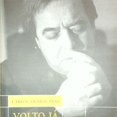 Volto Já - Ensaios sobre o real