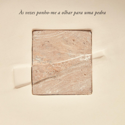 Às Vezes Ponho-me a Olhar para Uma Pedra