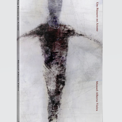 UM PÁSSARO NO ARAME