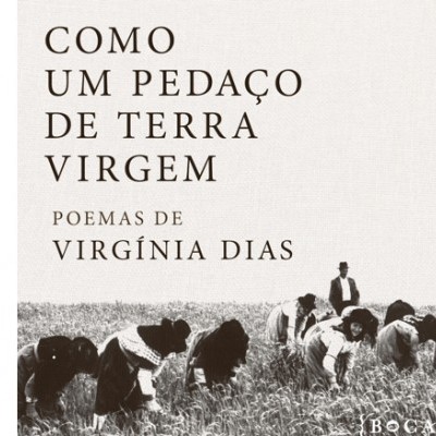 Como um pedaço de terra virgem
