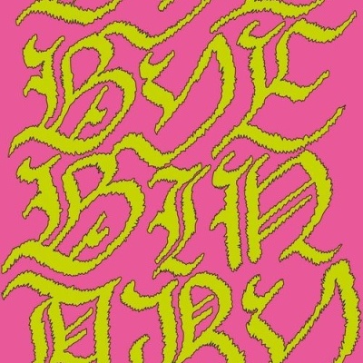 Bye Bye Binary, N° 01