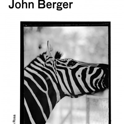 Capa de livro com título e fotografia de zebra em preto e branco