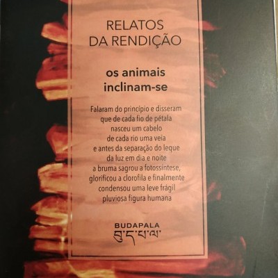 Os animais inclinam-se