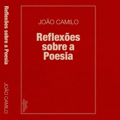 REFLEXÕES SOBRE A POESIA