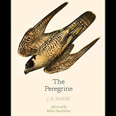 The Peregrine - J. A. Baker