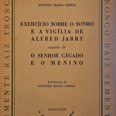 Exercício Sobre o Sonho e a Vigília de Alfred Jarry seguido de O Senhor Cágado e o Menino