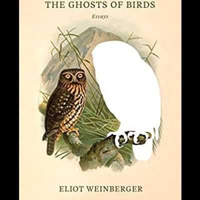 The Ghosts of Birds