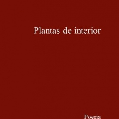 Plantas de Interior