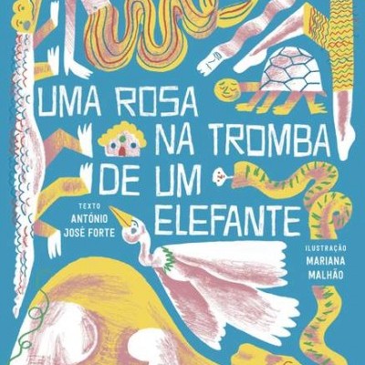 Uma Rosa na Tromba de um Elefante