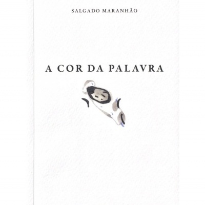 Capa de livro branca com título 'A COR DA PALAVRA' e nome do autor