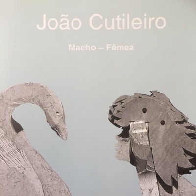 Macho-Fêmea