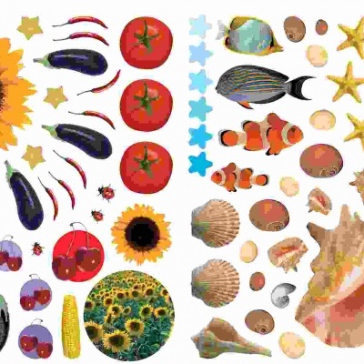 Ilustração de legumes, flores e frutos à esquerda e conchas, estrelas do mar e peixes à direita, ambas com etiqueta 'Summer'