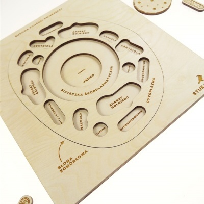 Puzzle A Célula Animal