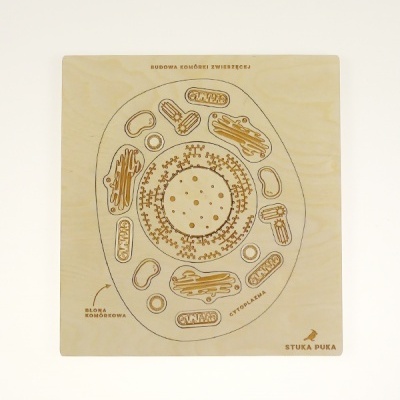 Puzzle A Célula Animal