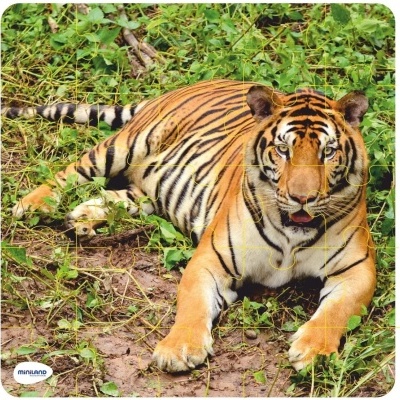 Puzzles Progressivos Animais