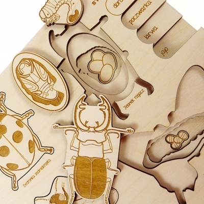 Puzzle Vida de Insecto