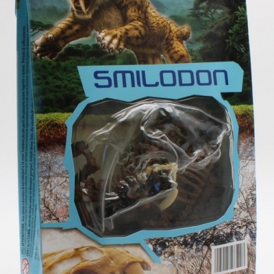 Fóssil de Smilodon