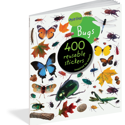 Autocolantes Reutilizáveis - Insectos