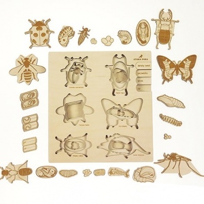 Puzzle Vida de Insecto