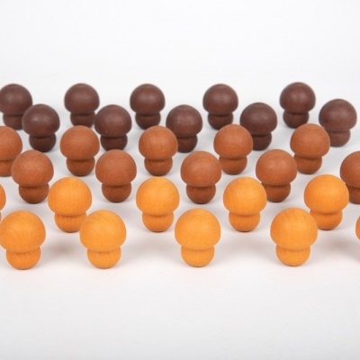 Tesouros de Madeira - Cogumelos