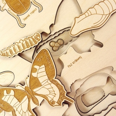 Puzzle Vida de Insecto