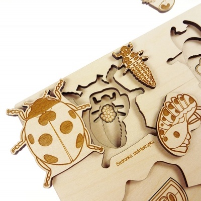 Puzzle Vida de Insecto