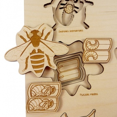 Puzzle Vida de Insecto