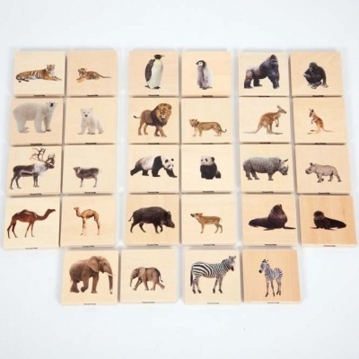 Jogo Animais Selvagens