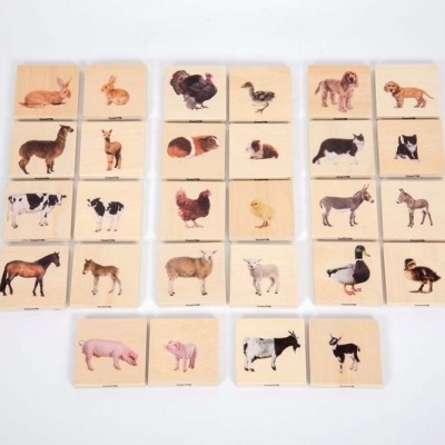 Jogo Animais Domésticos