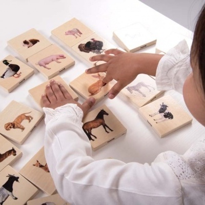 Jogo Animais Domésticos