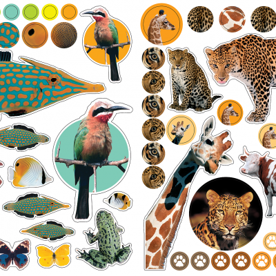 Autocolantes Reutilizáveis - Animais