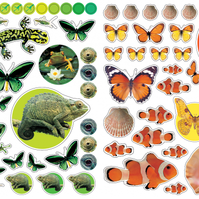 Autocolantes Reutilizáveis - Animais