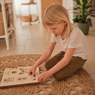 Puzzle Vida de Insecto