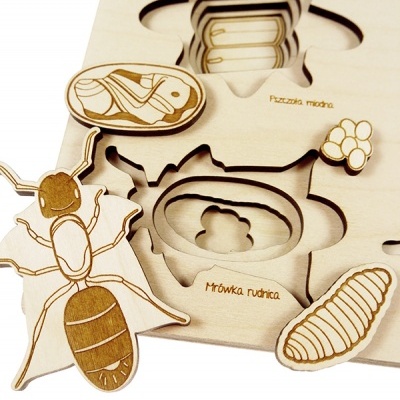 Puzzle Vida de Insecto