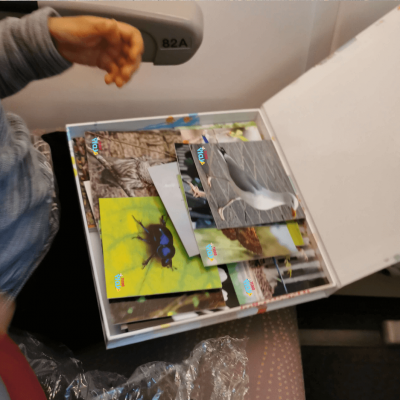 O Mundo das Aves e dos Insectos