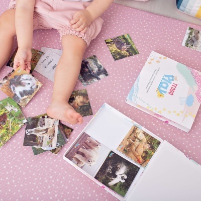 As Famílias dos Animais