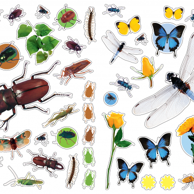 Autocolantes Reutilizáveis - Insectos