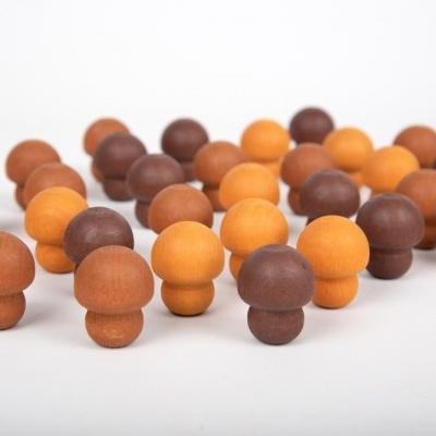 Tesouros de Madeira - Cogumelos