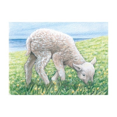 Puzzle de Cubos Animais da Quinta