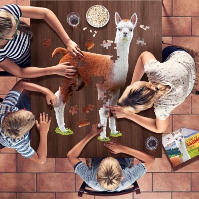 Puzzle Lama