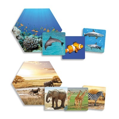 Onde Vivem os Animais