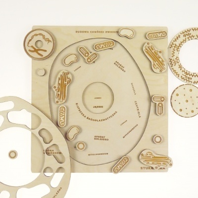 Puzzle A Célula Animal