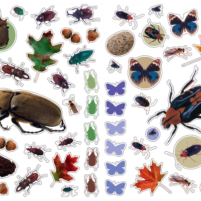 Autocolantes Reutilizáveis - Insectos