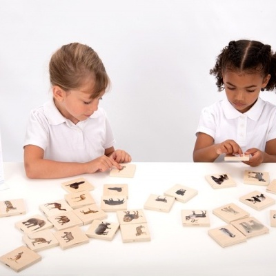 Jogo Animais Selvagens