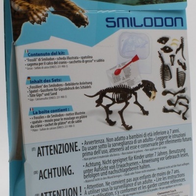 Fóssil de Smilodon