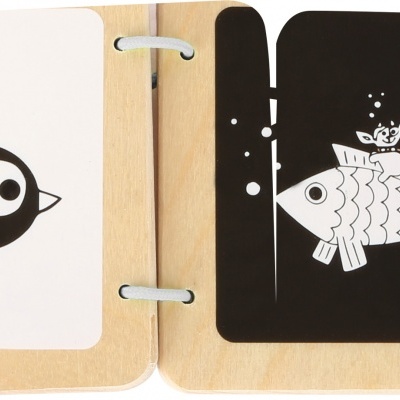 Livro de Bebé Ludwig