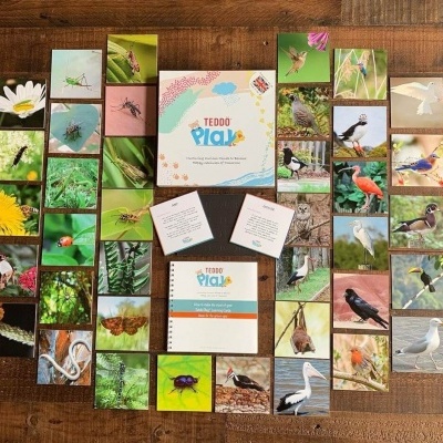 O Mundo das Aves e dos Insectos