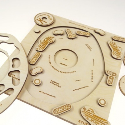 Puzzle A Célula Animal